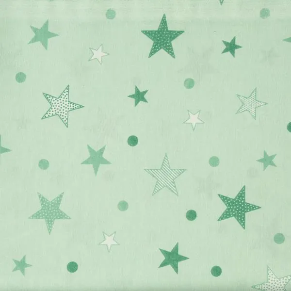 Big Star Little Star Extra Extra Wide Quilt Backing