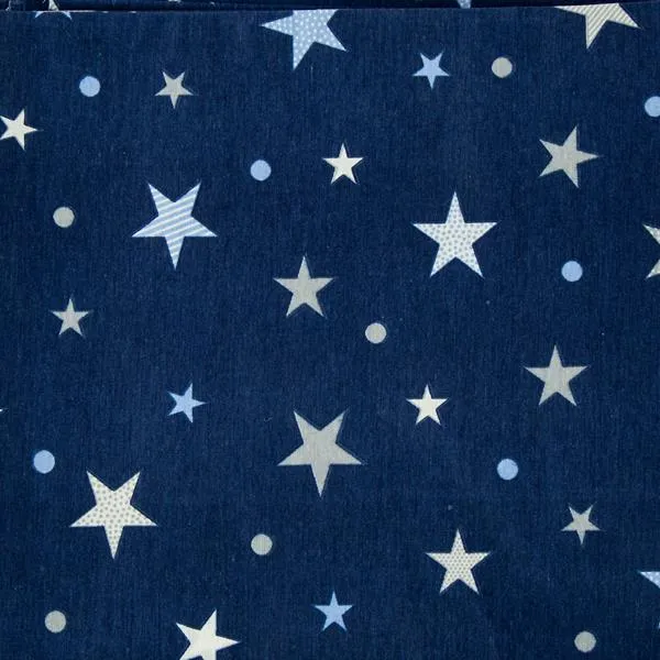 Big Star Little Star Extra Extra Wide Quilt Backing