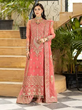 Designer Embroidered Net