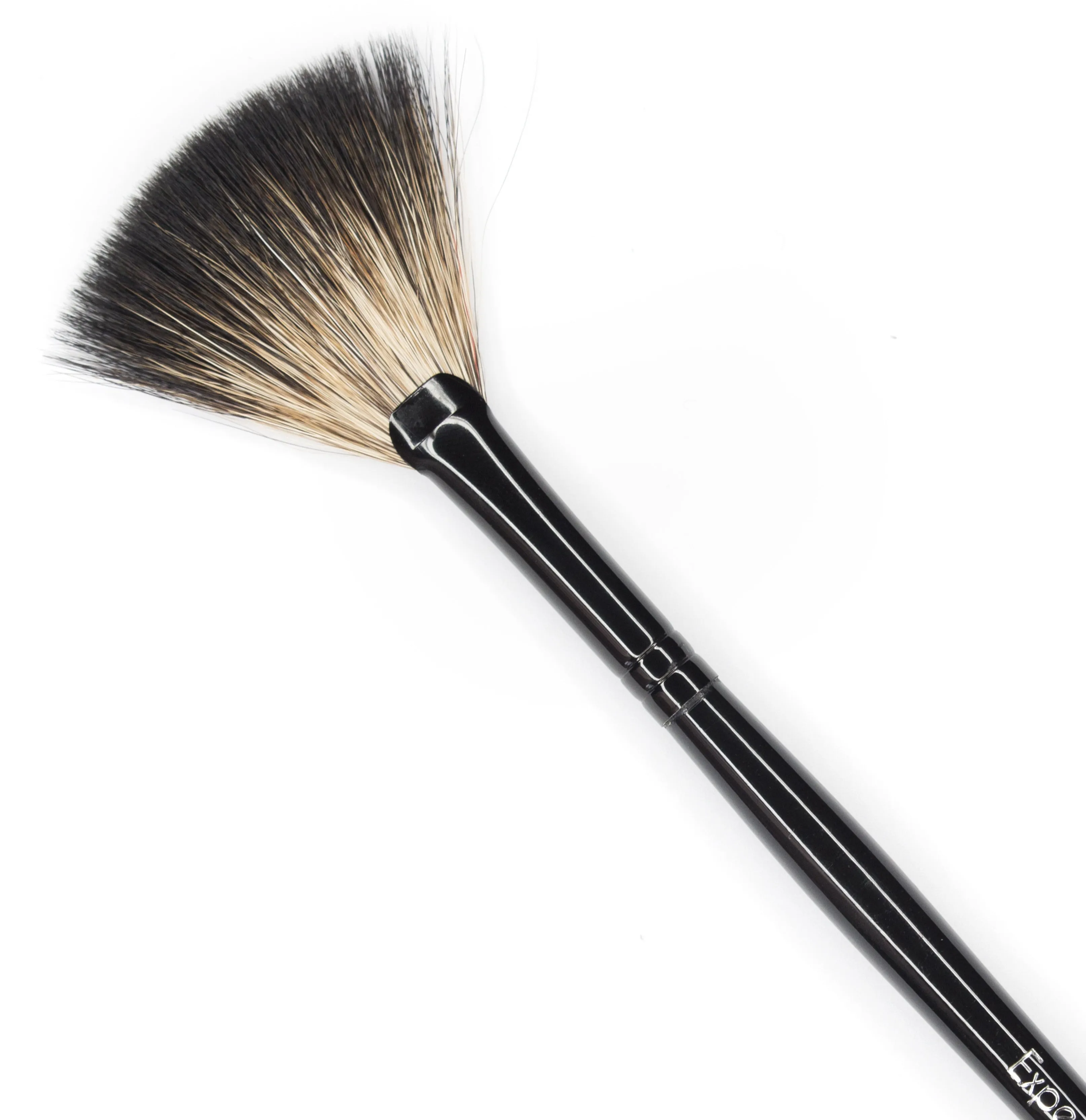 Expert Fan Brush