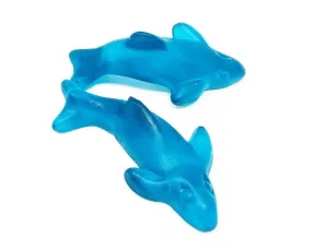 Gummi Blue Dolphins