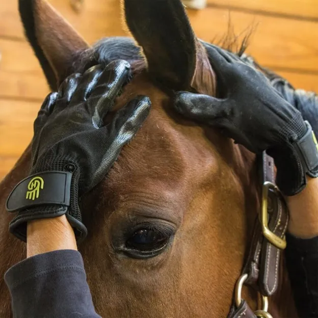 Hands On Grooming Glove