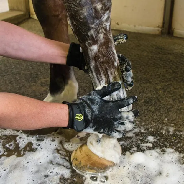 Hands On Grooming Glove