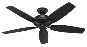 Hunter 52 inch Newsome Damp Rated Ceiling Fan and Pull Chain