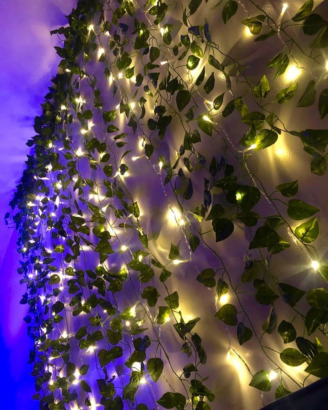 LED Wall Vine Lights