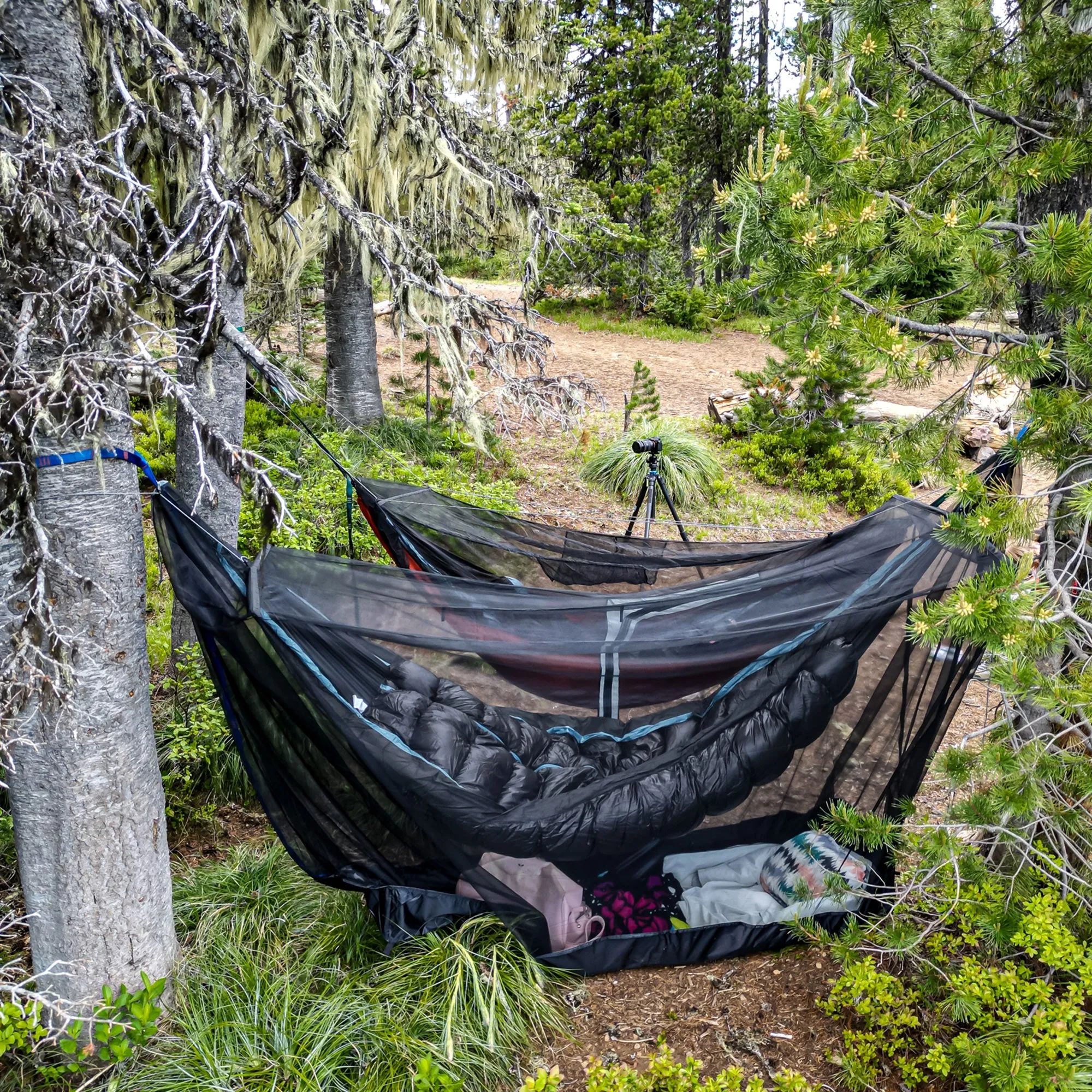 MOZZY 360 Hammock Bug Net Shelter