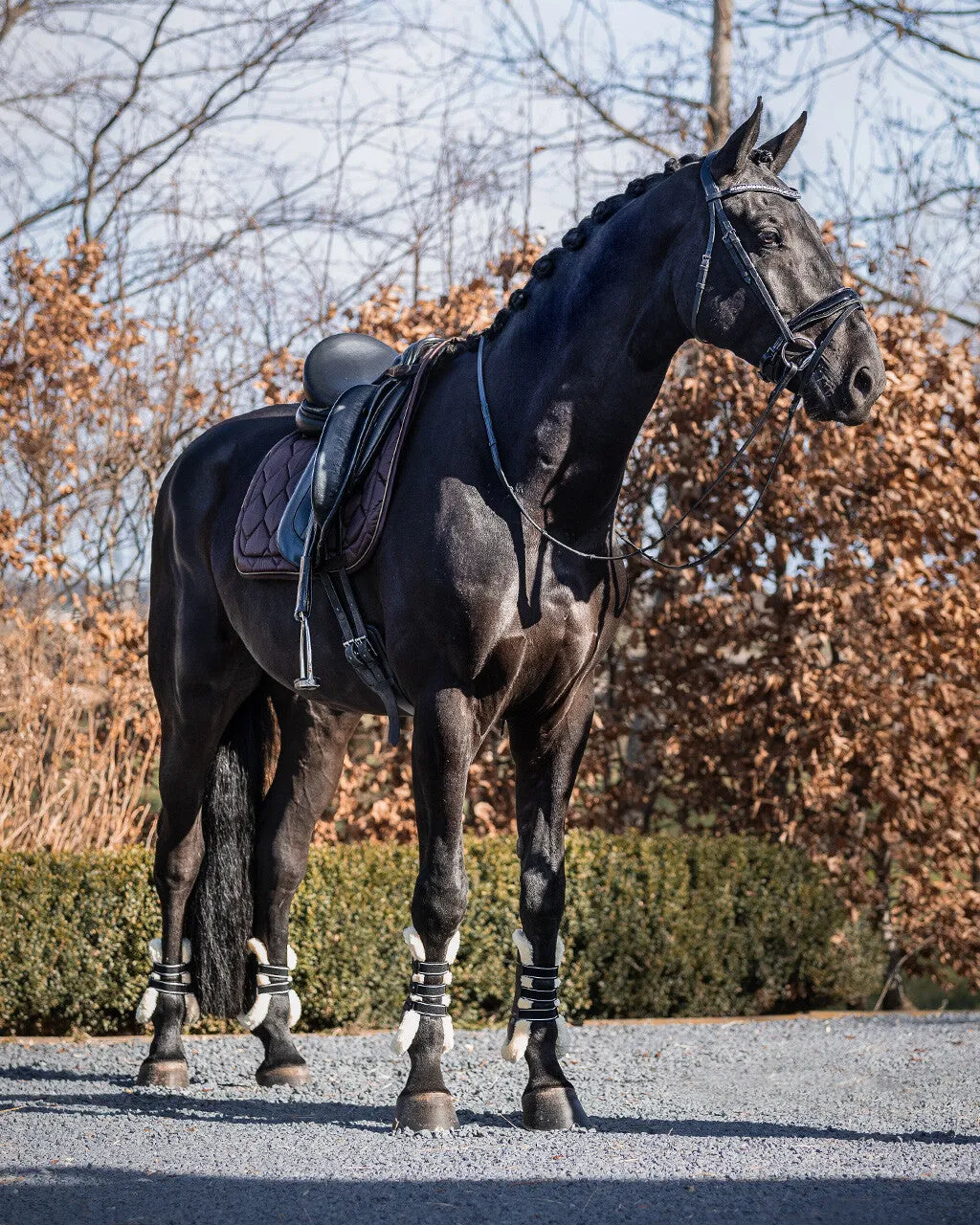 QHP Dressage Pad Classy