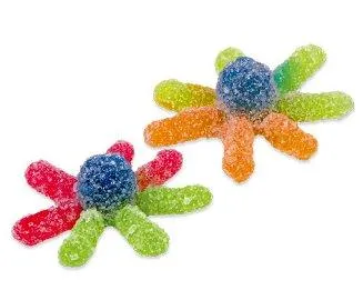 Sour Gummi Octopus